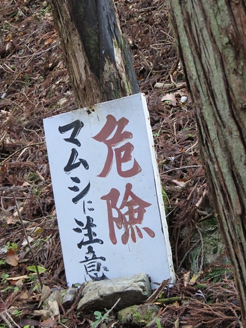 f0357487_22044327.jpg