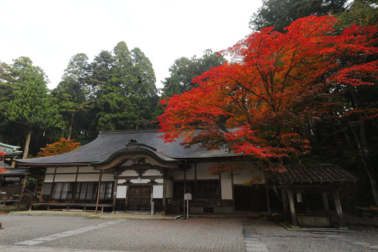 比叡山延暦寺　～横川～_e0051888_01490631.jpg