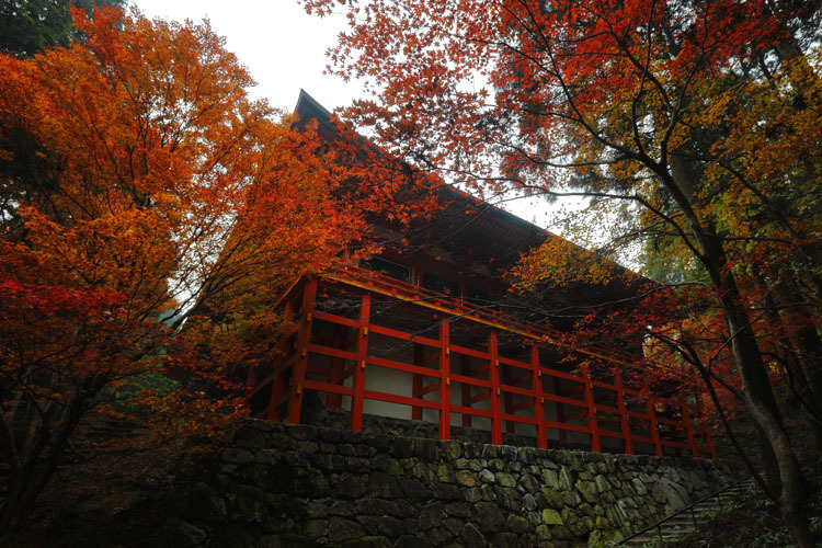 比叡山延暦寺　～横川～_e0051888_01490713.jpg