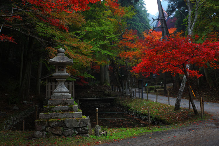 比叡山延暦寺　～横川～_e0051888_01490756.jpg