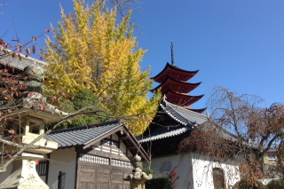 a0233991_08343379.jpg