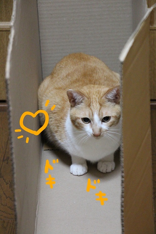 一瞬のデキゴト・・・。_a0333195_22162389.jpg