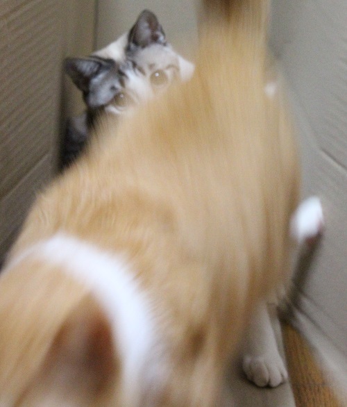 一瞬のデキゴト・・・。_a0333195_22314478.jpg