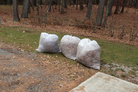 c0090198_20172170.jpg