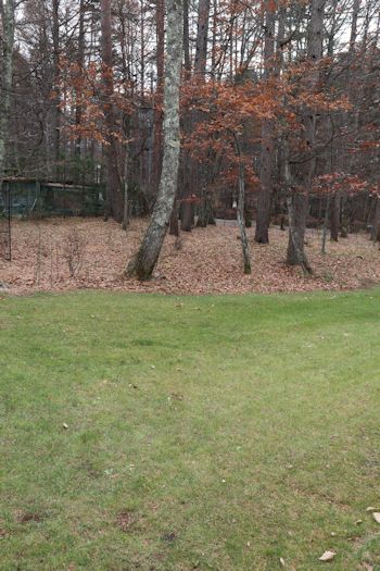 c0090198_20204921.jpg