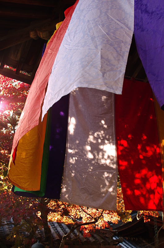 c0382798_18510166.jpg