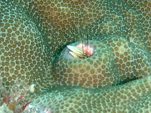 e0115199_17173489.jpg