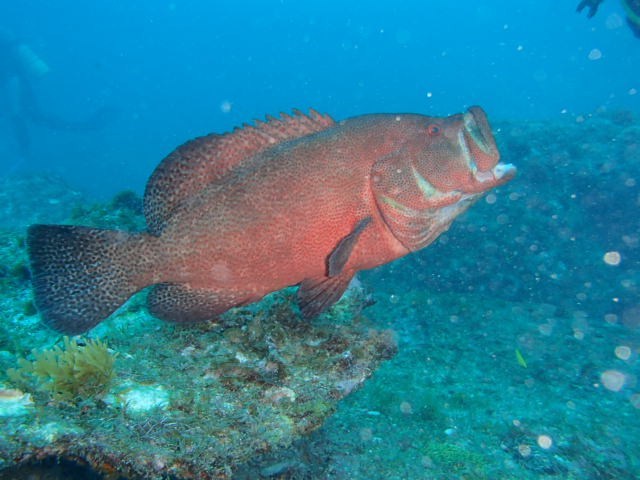 e0115199_17175062.jpg