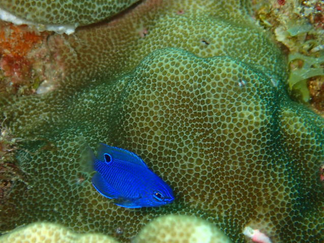 e0115199_17185993.jpg