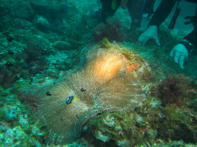 e0115199_17205485.jpg