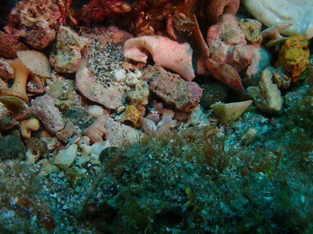 e0115199_17213187.jpg