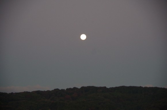 b0356401_18551604.jpg