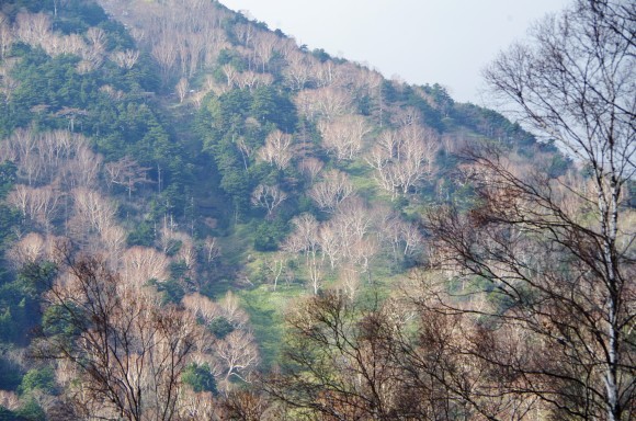b0356401_19033520.jpg