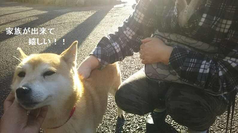 柴犬ちゃんのご縁が結ばれました!_f0242002_23324095.jpg