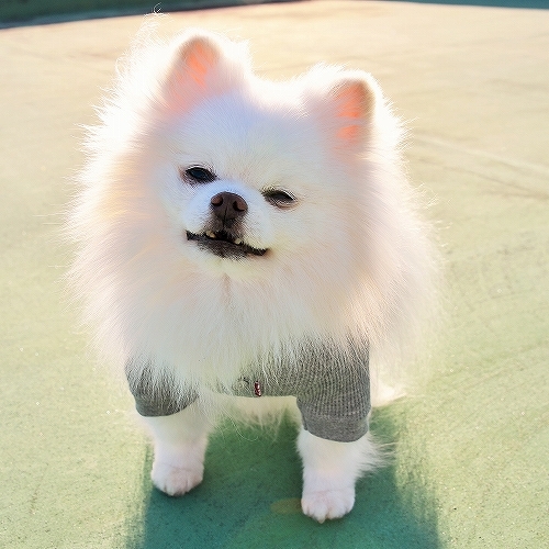 自信喪失_d0360206_00290814.jpg