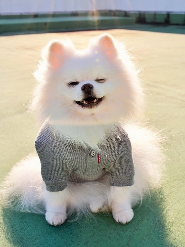 自信喪失_d0360206_00291458.jpg