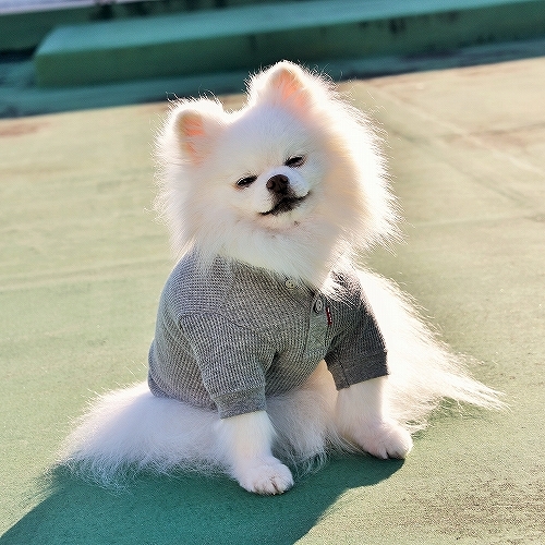 自信喪失_d0360206_00294128.jpg