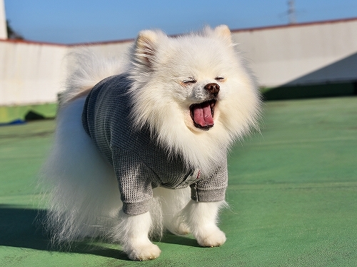 自信喪失_d0360206_00300435.jpg