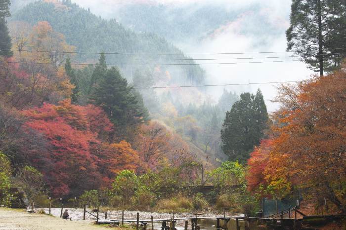 秋時雨の原不動滝_c0248507_19535968.jpg