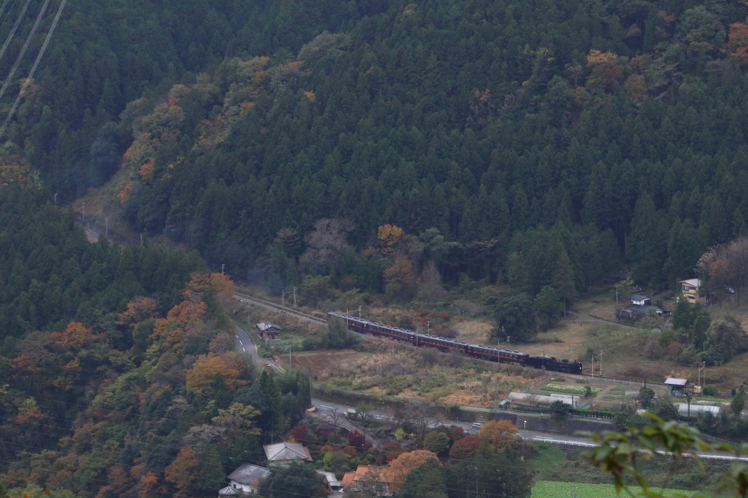 色付き始めた山から里へ - 秩父・2017年秋 -_b0190710_23301412.jpg