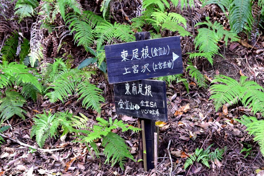f0212511_22593161.jpg