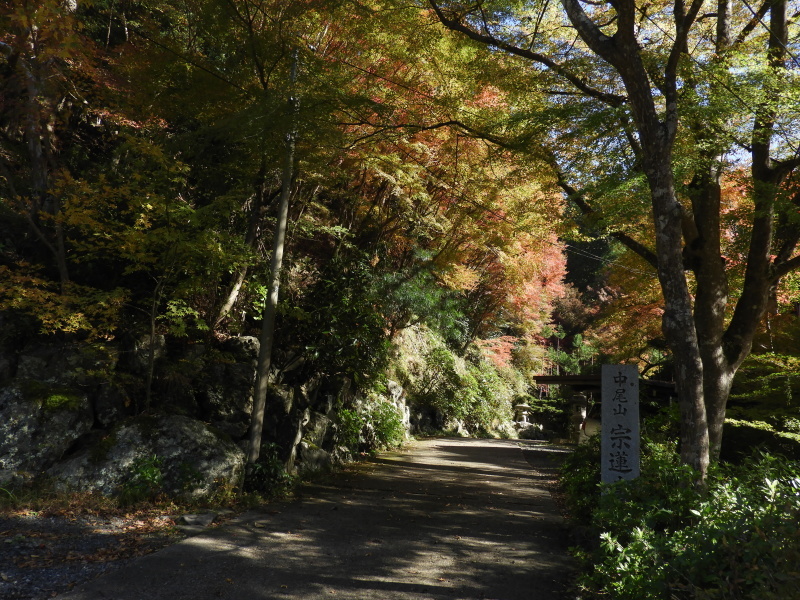 中川の里と宗蓮寺_e0048413_16332746.jpg