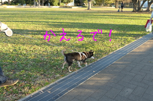 f0369014_10312281.jpg