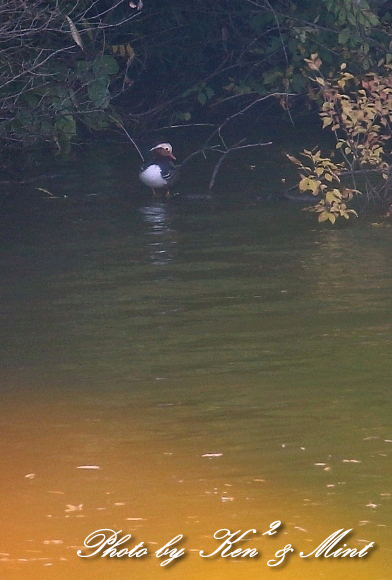 e0218518_18490492.jpg