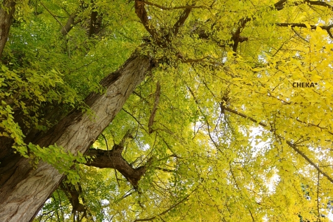 c0229025_05462152.jpg