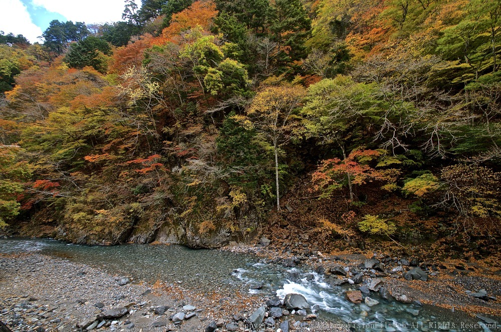 １１月１１日〜１２日秩父滝沢サイクルパークの風景VOL1：秩父紅葉ドライブ〜滝沢サイクルパーク_b0065730_120944.jpg