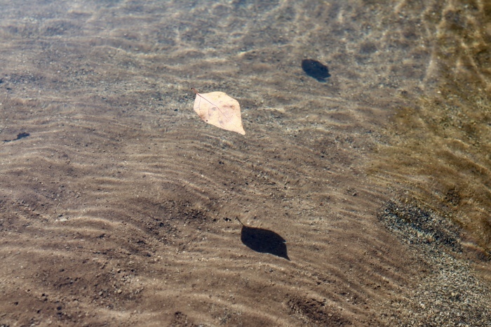【秋川渓谷】「野外テラス 水の音」_f0348831_00085579.jpg