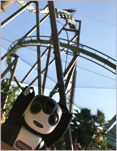 d0017632_12584286.jpeg