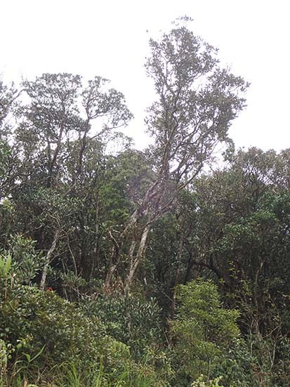 c0177135_21314789.jpg