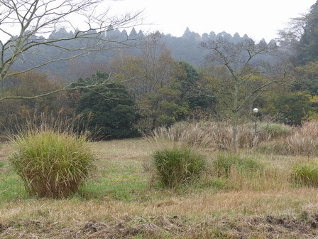 a0123836_17042300.jpg