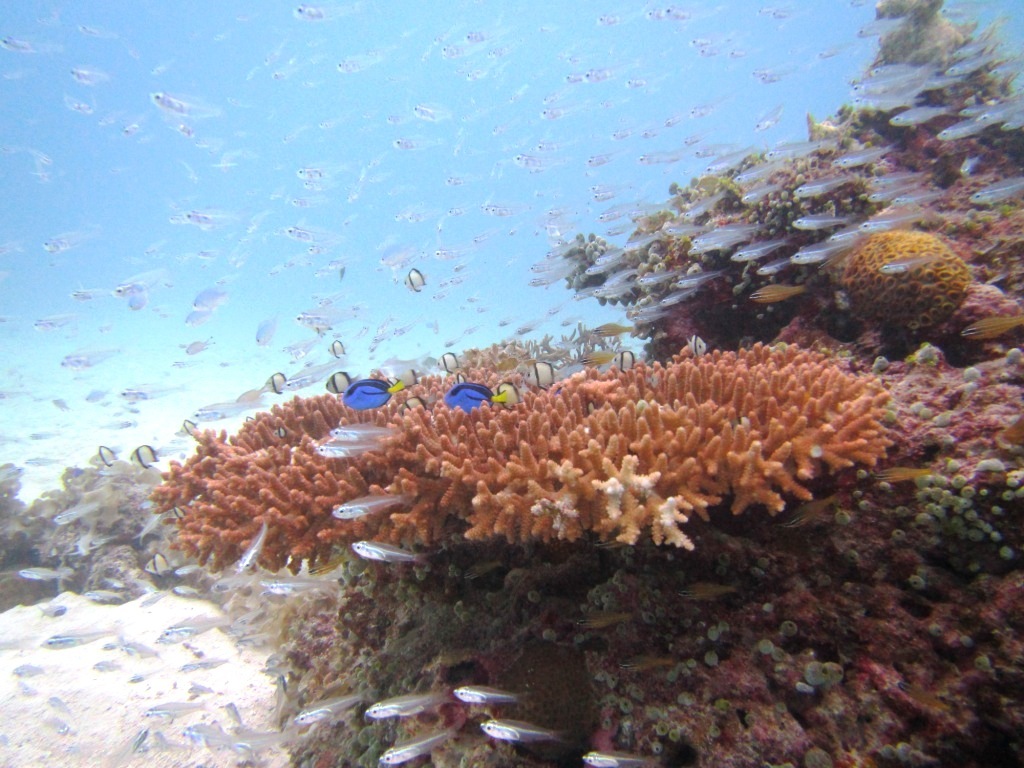 a0189838_16531148.jpg