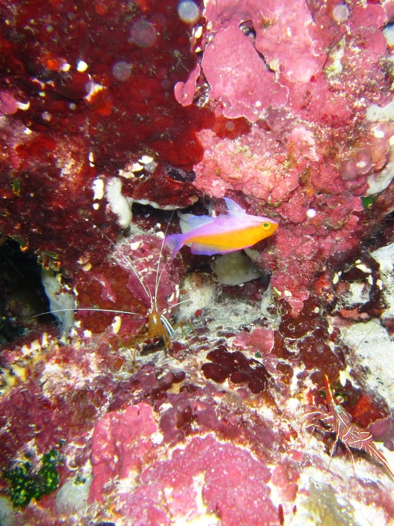 a0189838_16595040.jpg