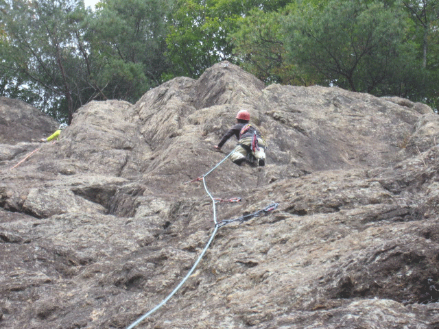 e0371039_17161680.gif