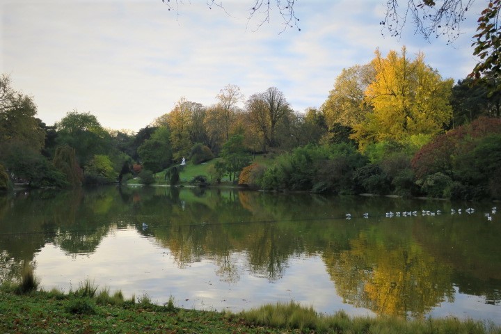 e0300042_17595505.jpg