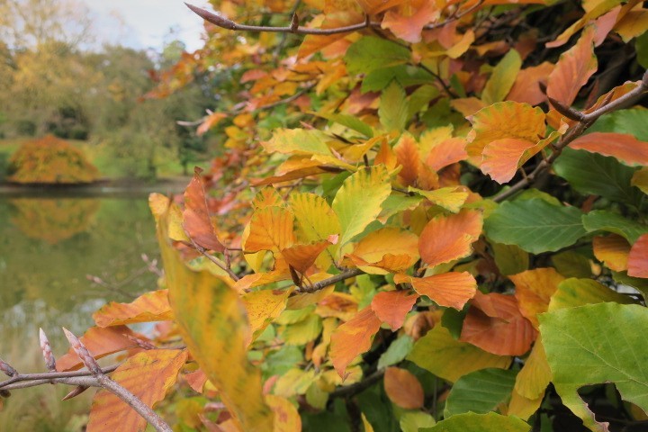 e0300042_18005087.jpg