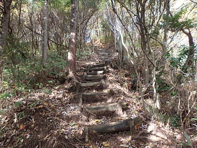 f0334143_864946.jpg
