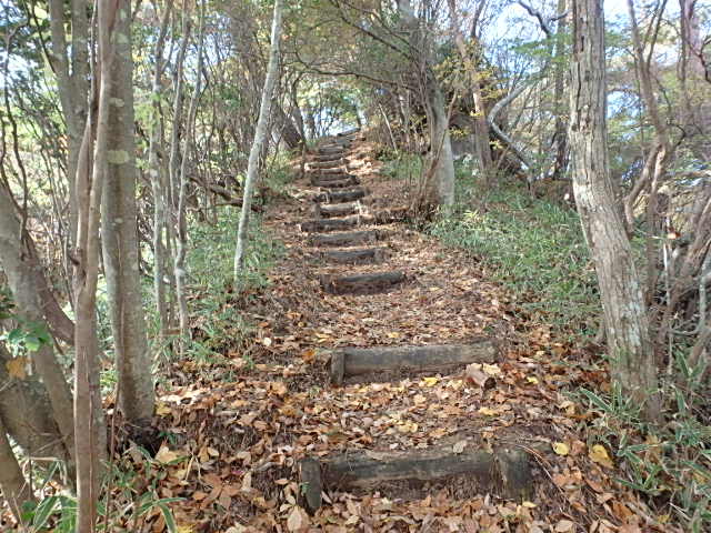 f0334143_865934.jpg