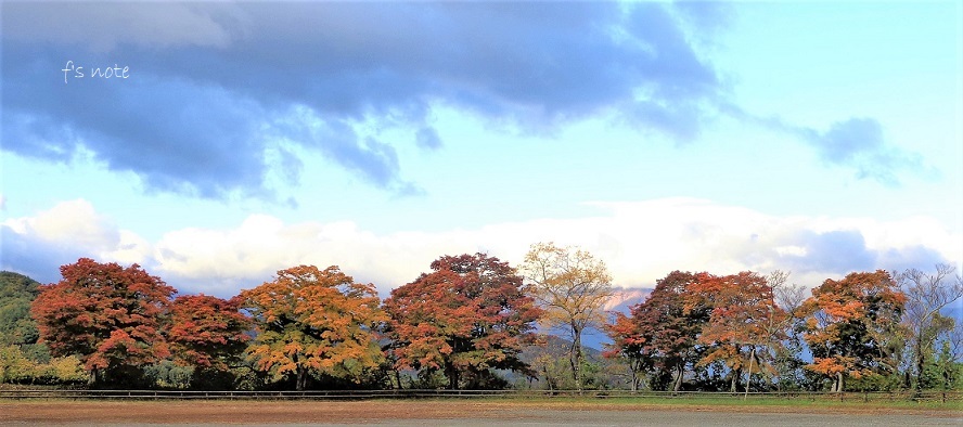 故郷の紅葉と景色 見納め_d0356844_15131309.jpg