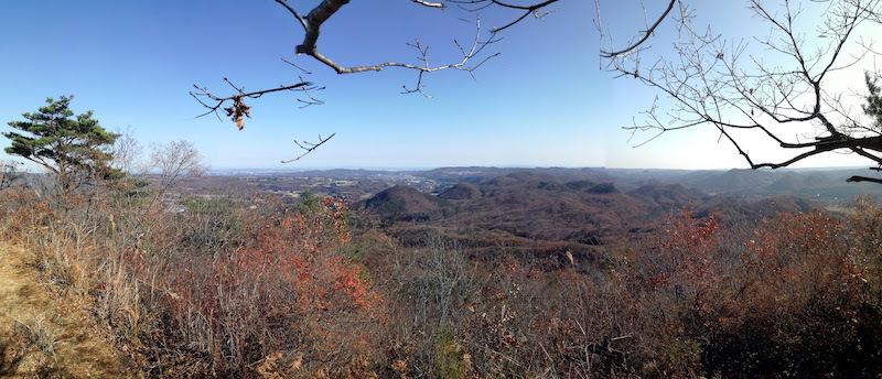 c0063348_08163980.jpg