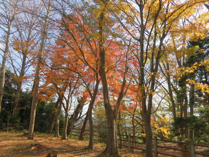 b0238249_16444666.jpg
