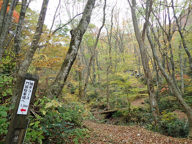 f0214649_05395680.jpg