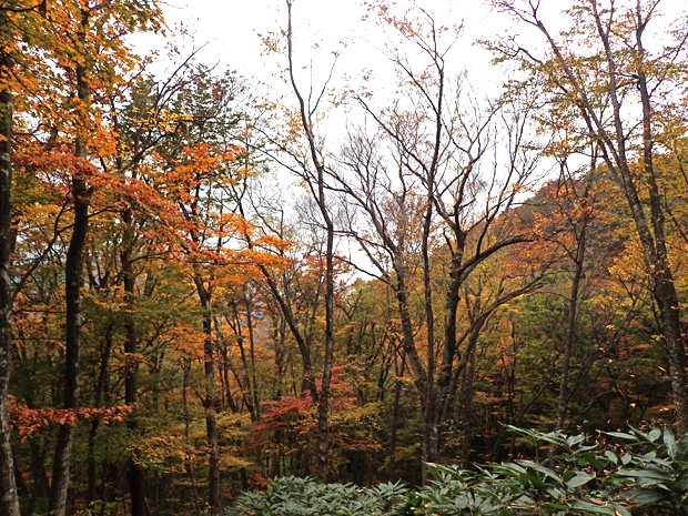 f0214649_05472400.jpg