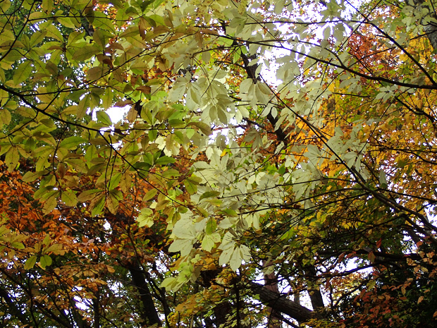 f0214649_06051822.jpg