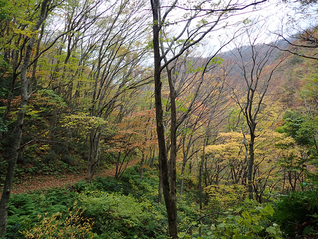 f0214649_06160755.jpg