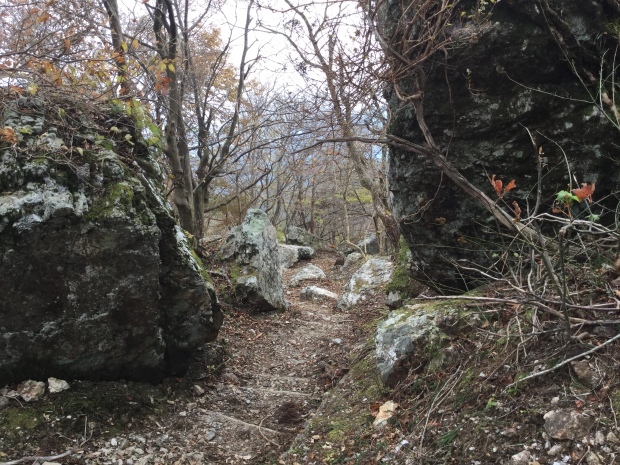 c0073152_11040820.jpg