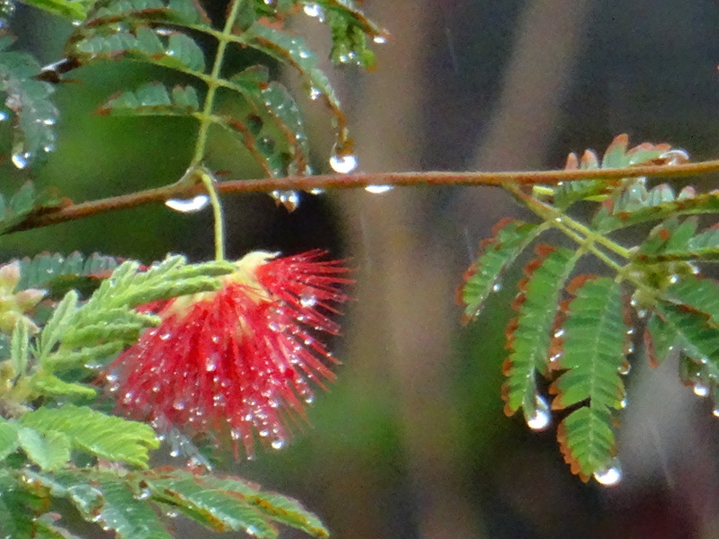 c0108460_16062758.jpg